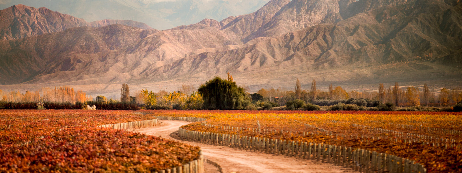 MENDOZA | Argentina