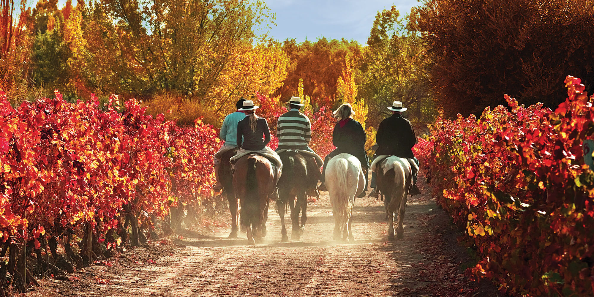 Mendoza Adventure and Health Tourism