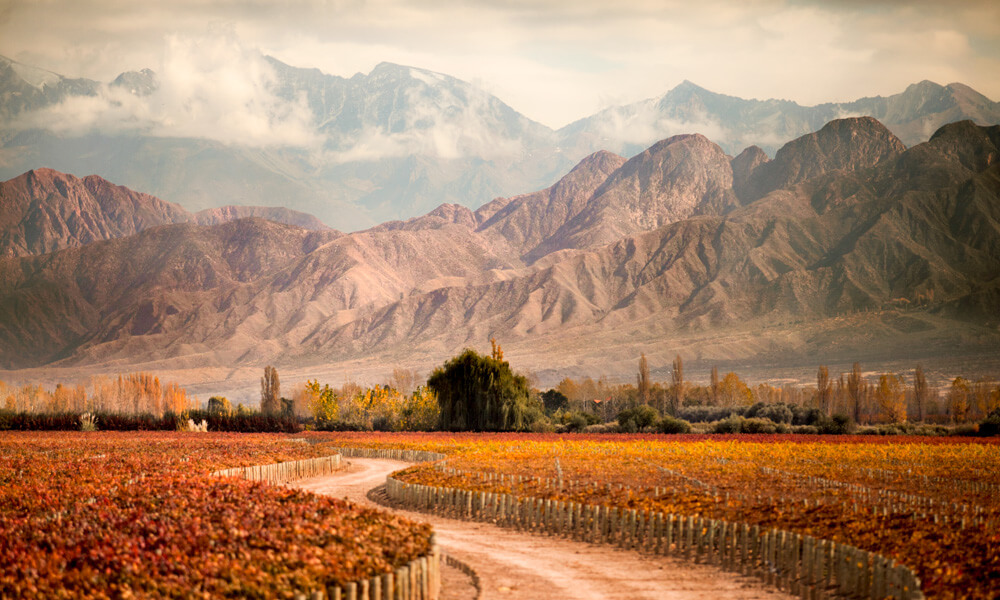 MENDOZA | Argentina