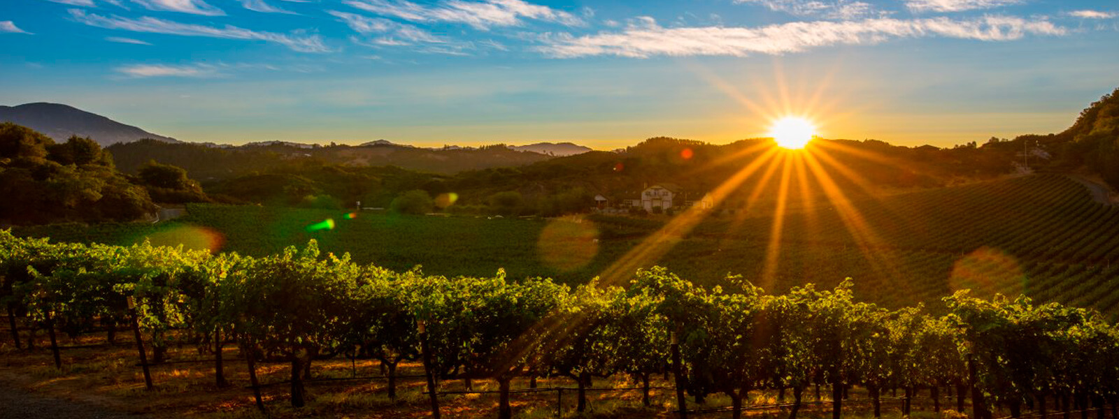 SAN FRANCISCO - NAPA VALLEY | United States