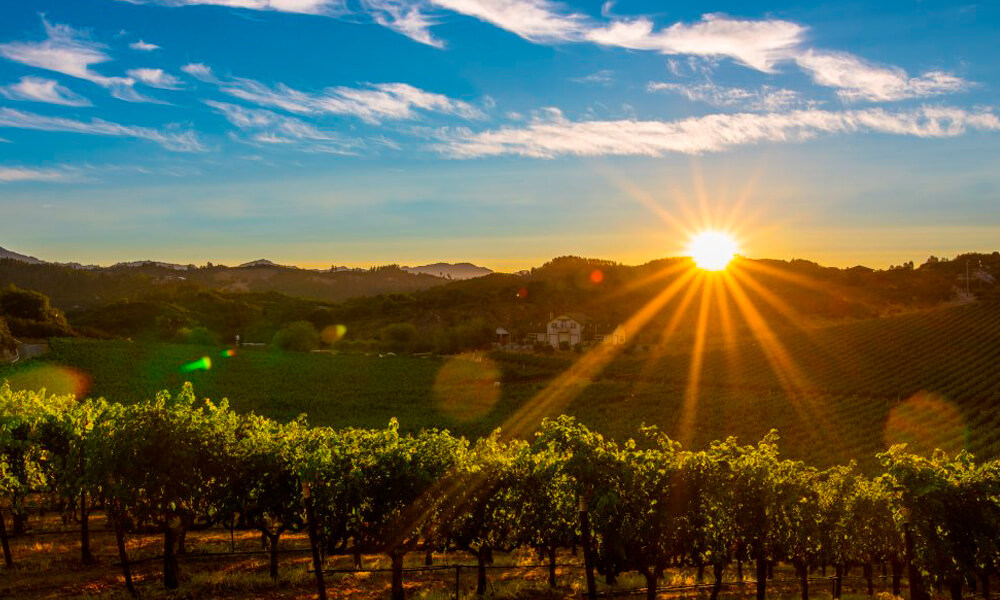 SAN FRANCISCO - NAPA VALLEY | United States