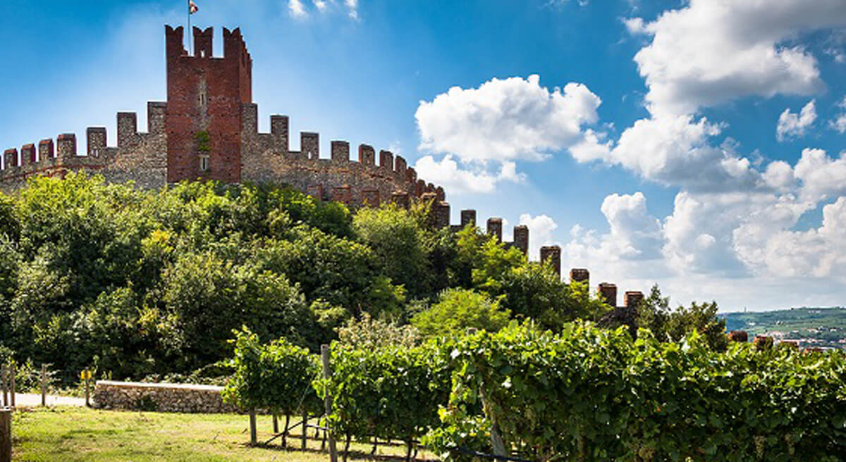 Associazione Strada del Vino