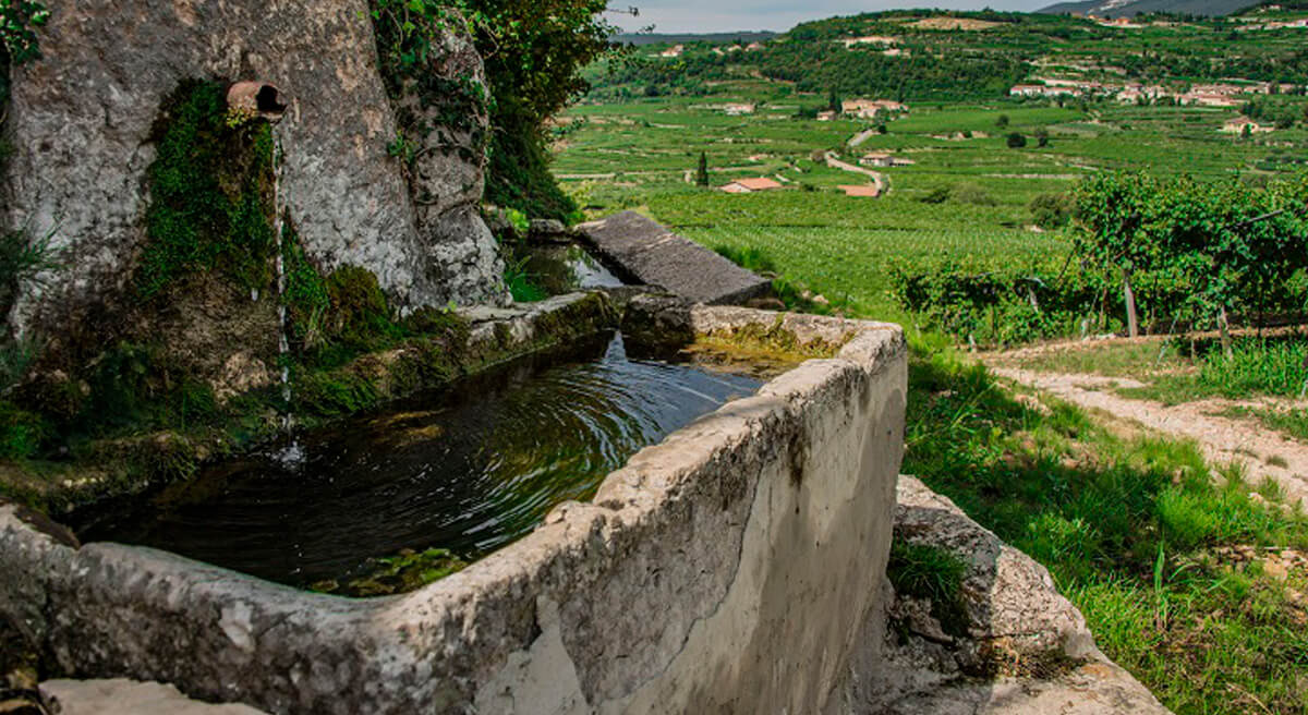 Cantina Valpolicela