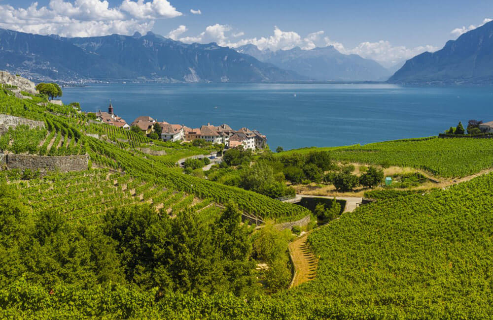 Lausanne_0002_lavaux Visit the d’Arenberg Cube