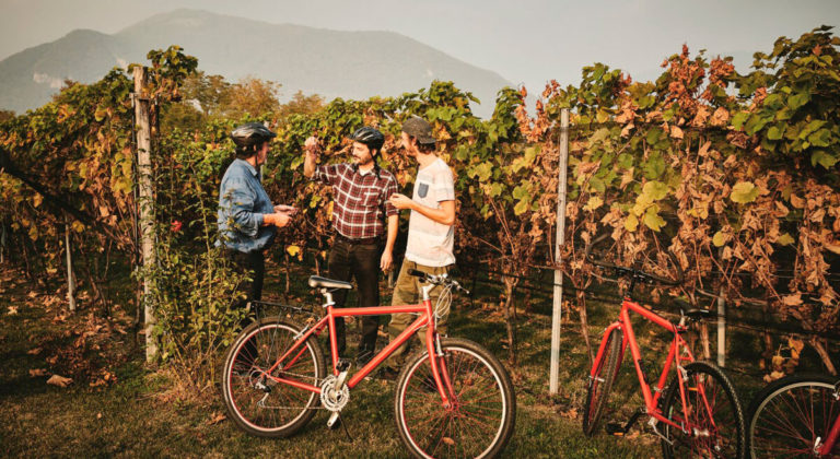 Bike’n’Wine – Mendrisiotto Terroir