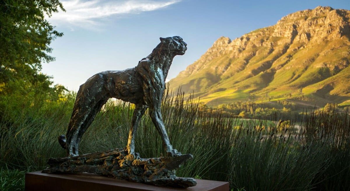 Delaire Graff Wine Estate