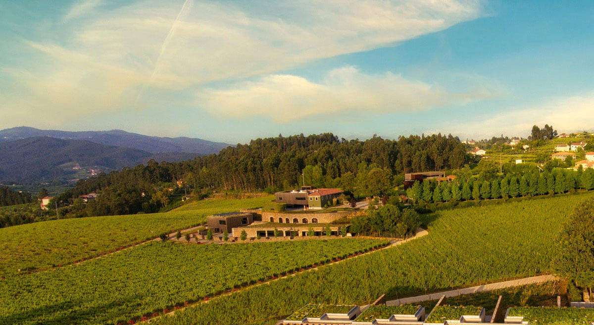 Monverde Wine Experience Hotel