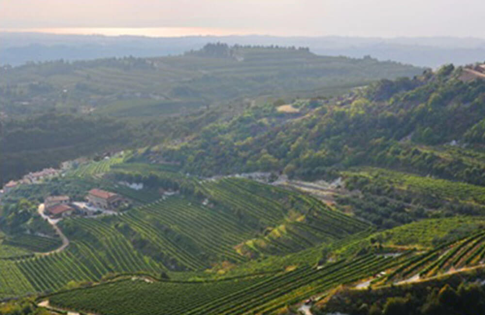 verona_0000_verona_hills Get into the Festival Vibe