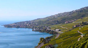 How does Swiss winegrowers work together to get through the coronavirus