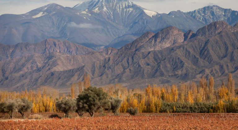 Mendoza, Argentina: Luxury That Grows from the Land
