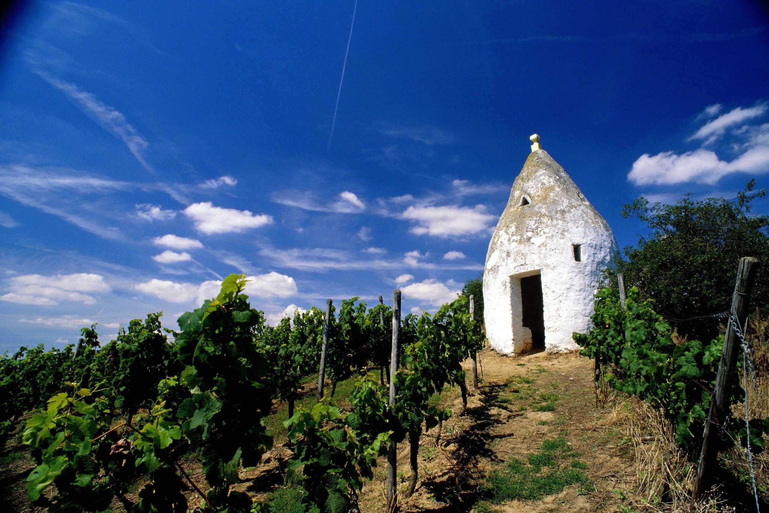 Wein Trullo in Flonheim