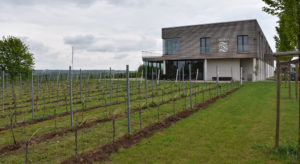 Thörle winery