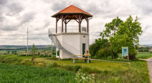 Hiking Rheinhessen - resting place in the green