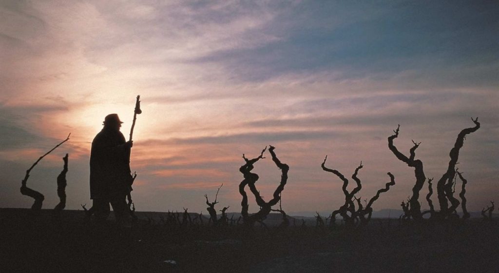 A pilgrim at dawn in Rioja.