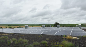 Sustainability Built into the Vineyard