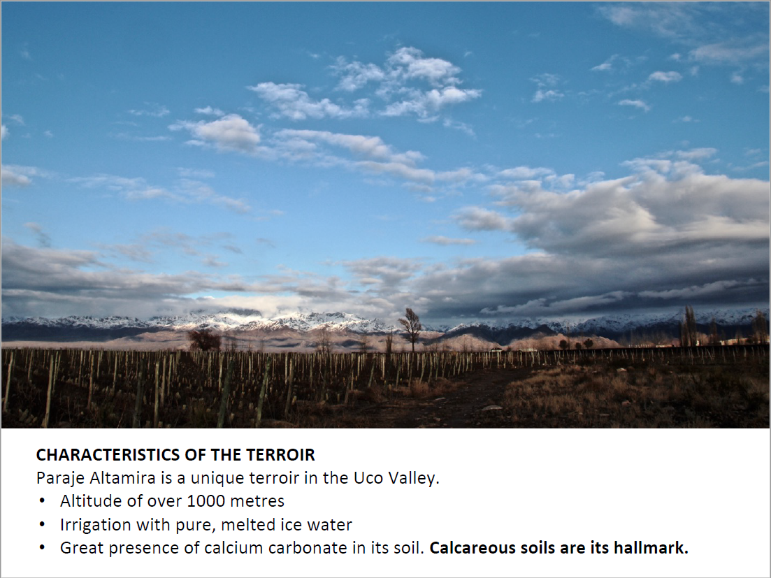 Landscape and characteristics of Paraje Altamira