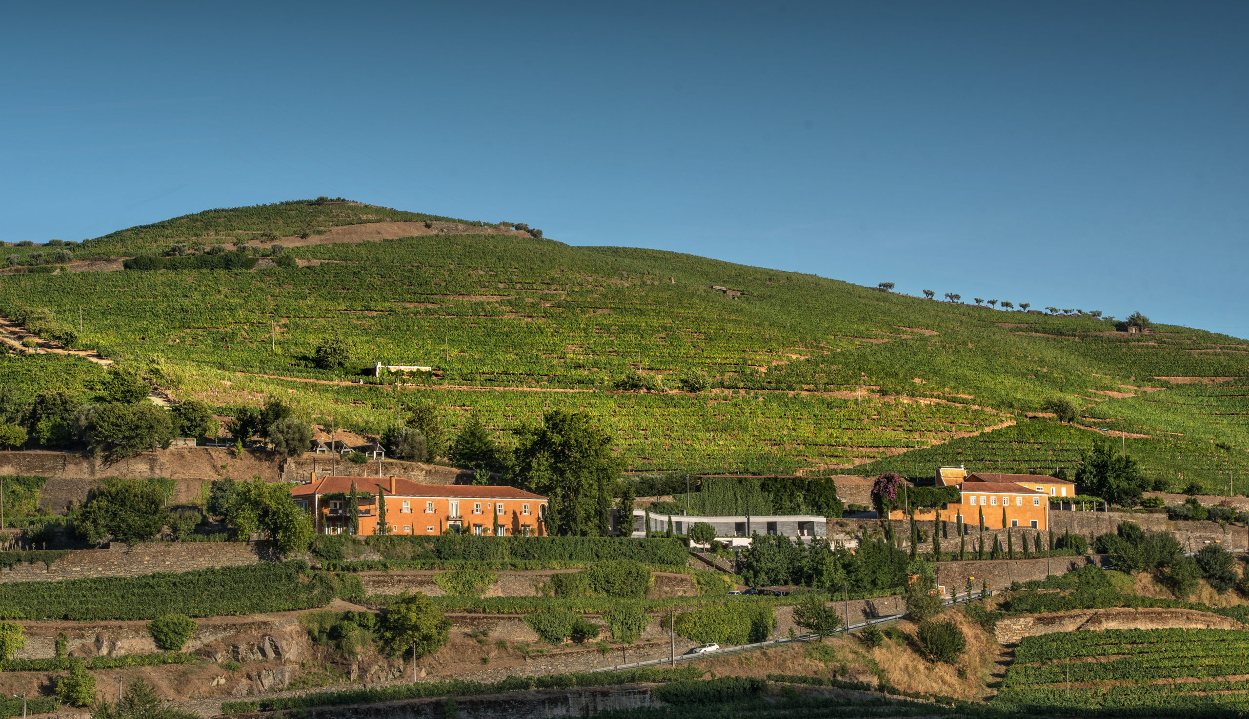 Quinta do Vallado Distinguished as Douro Hotel with Best Services in Wine Tourism Services