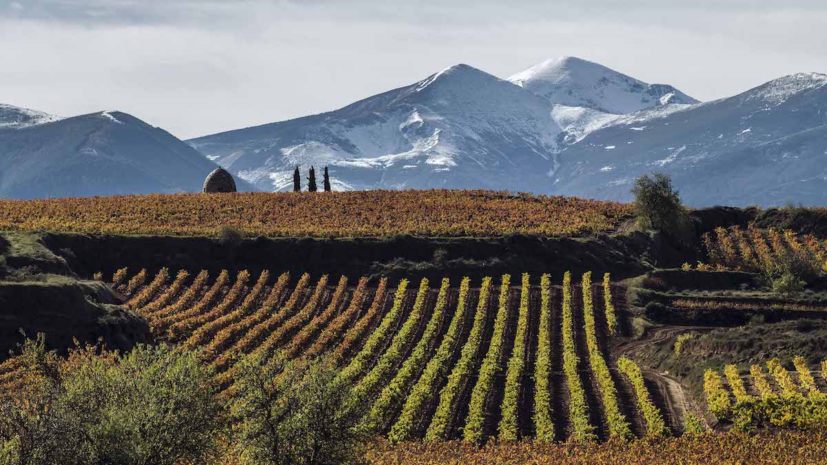 Great Reasons To Fall In Love With Bilbao Rioja