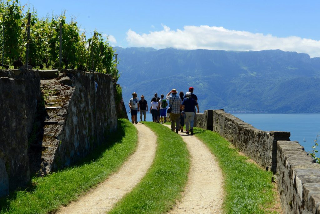 Lavaux2_(c)Sentier gourmand Lavaux