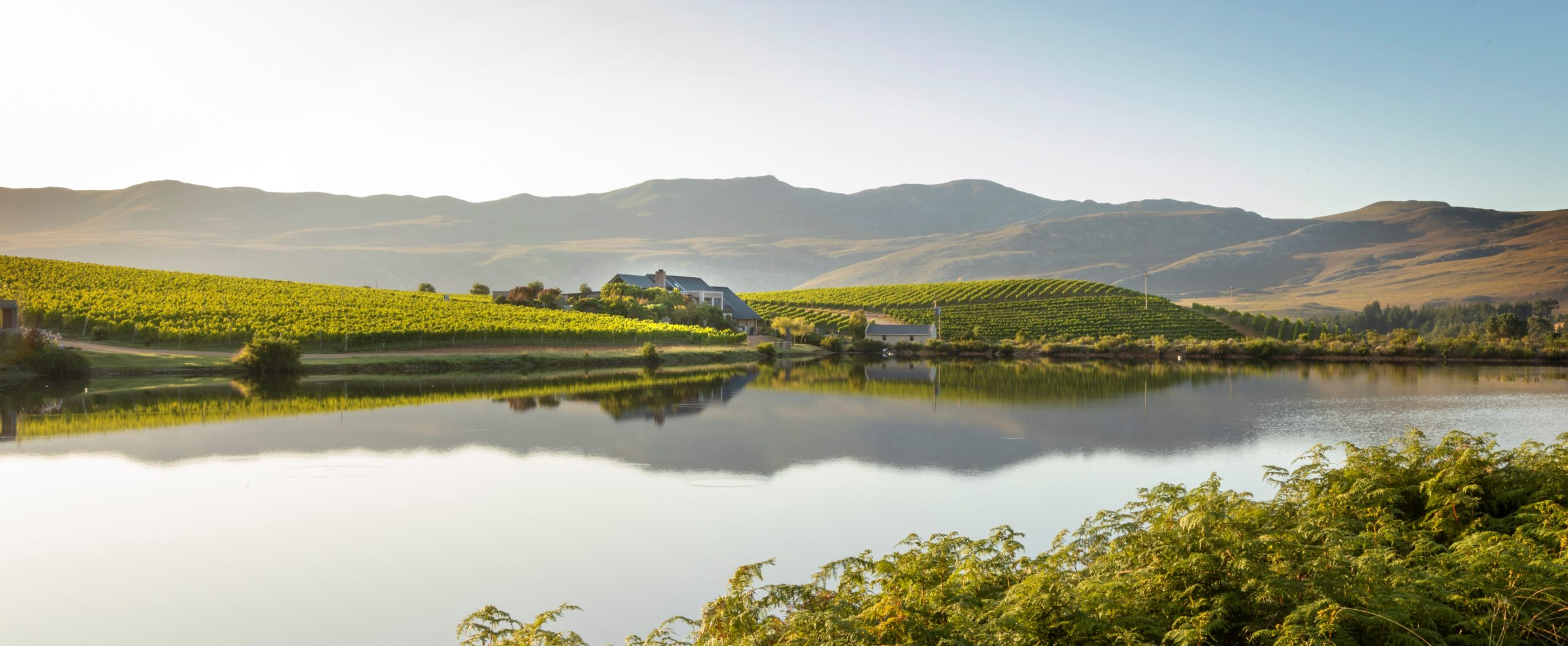 Follow the stairway to heaven, where Creation Wines awaits your arrival
