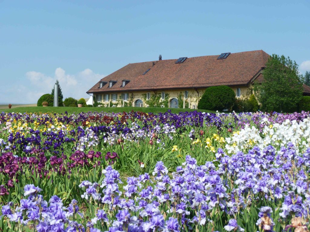 Portes des iris château de Vullierens
