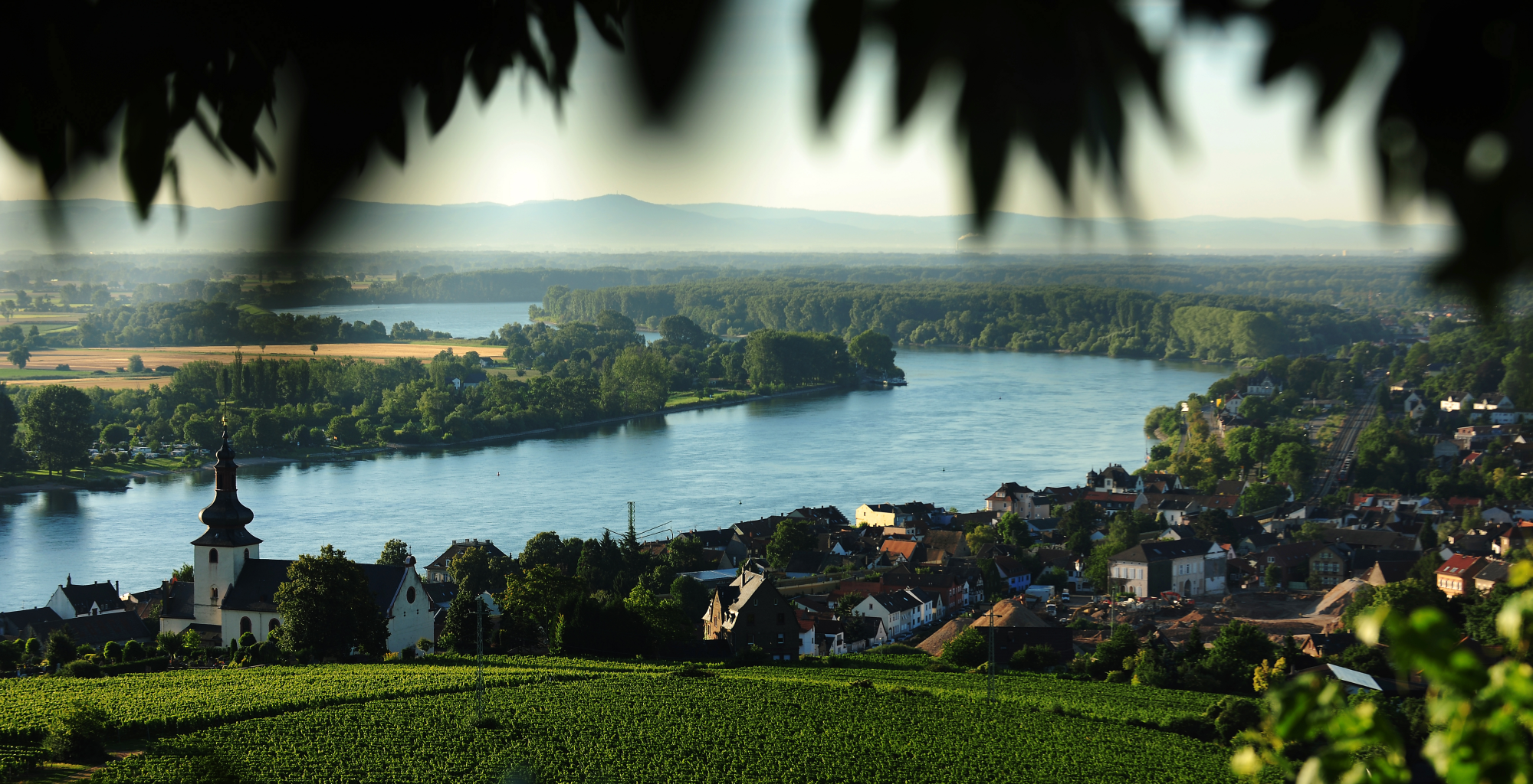Mainz and Rheinhessen – a small piece of paradise