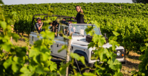 A wine safari in Rheinhessen