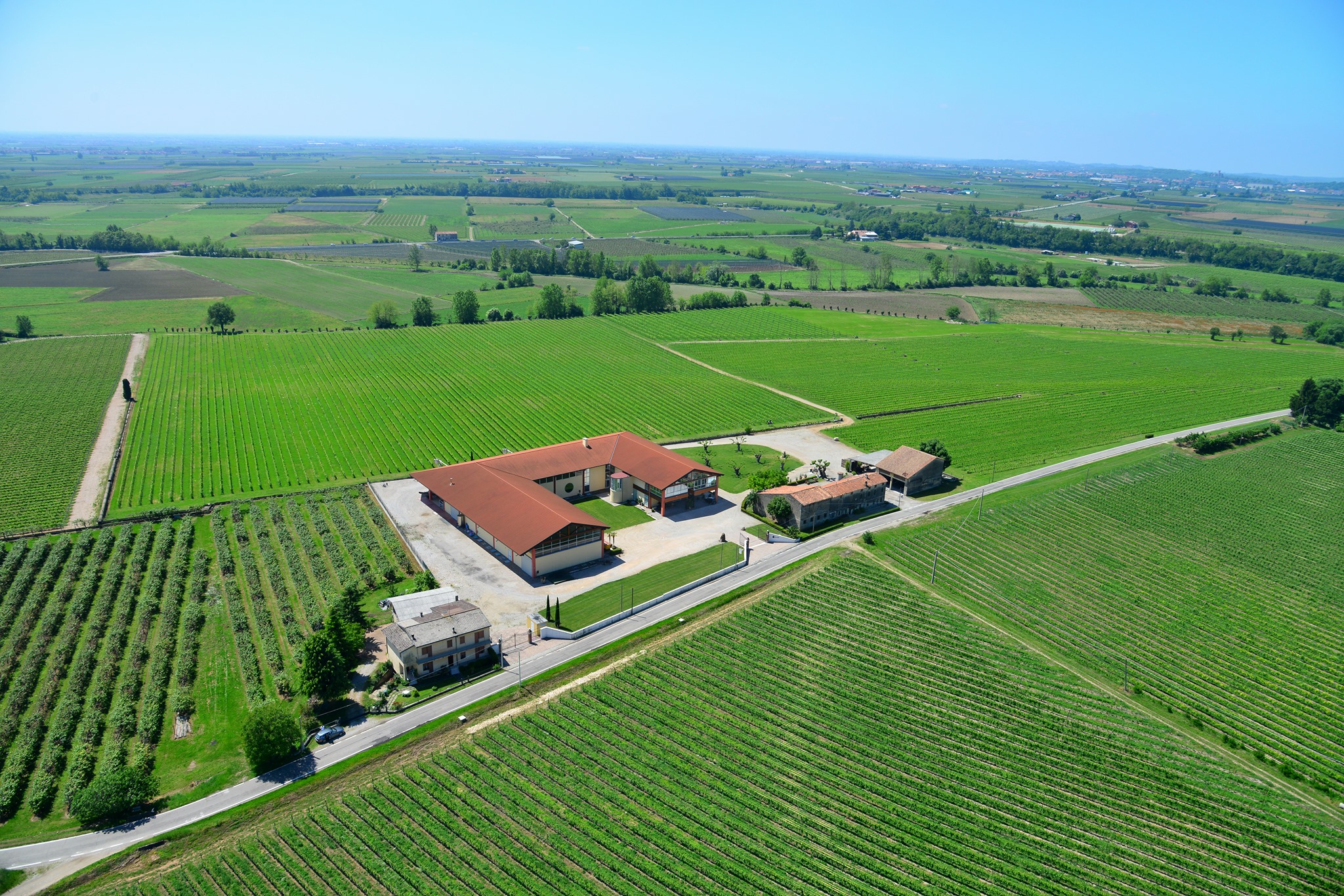 Albino Piona Winery, four generations of wine history