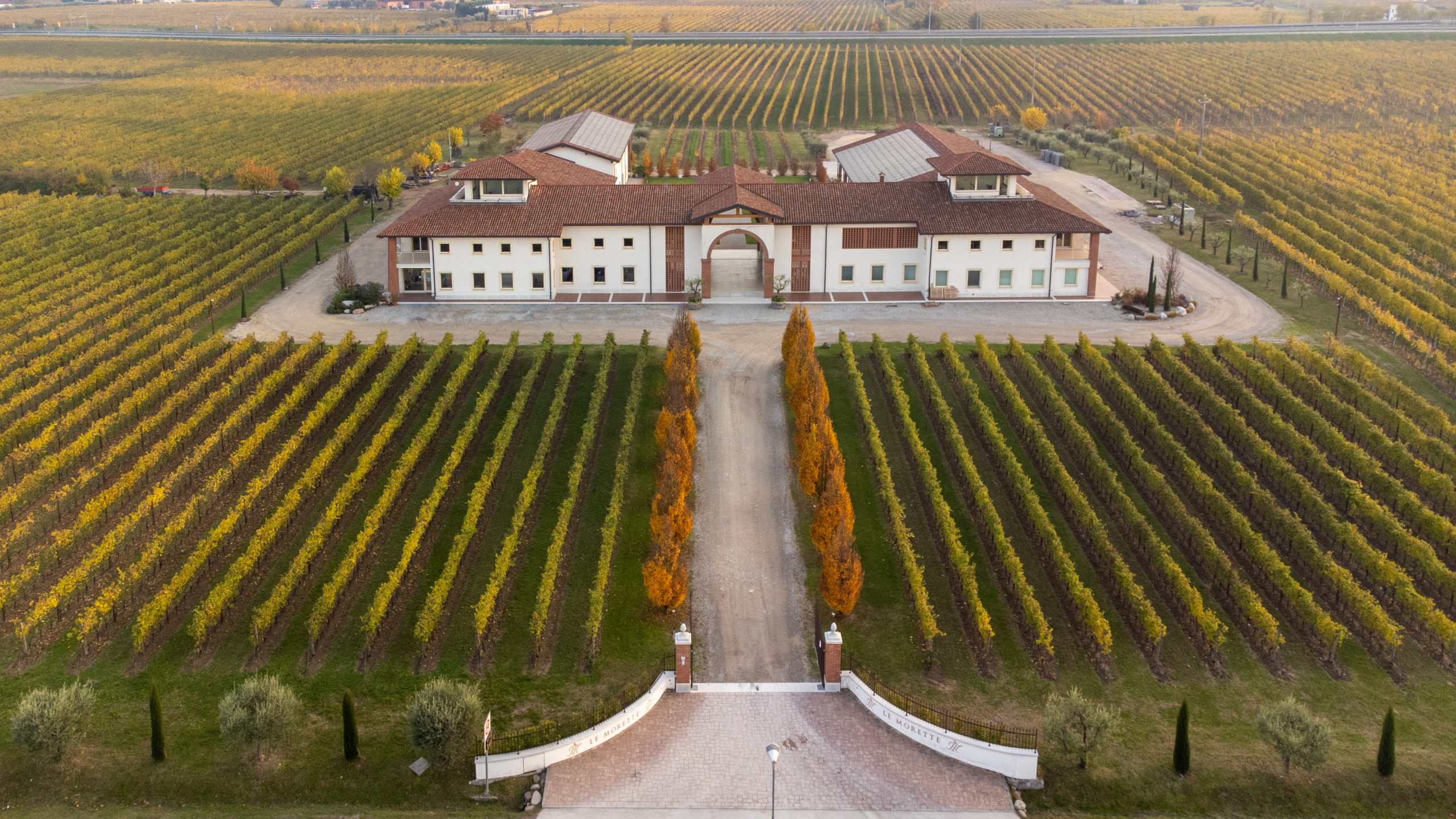 Le Morette: the family, the cellar and the Lugana soul