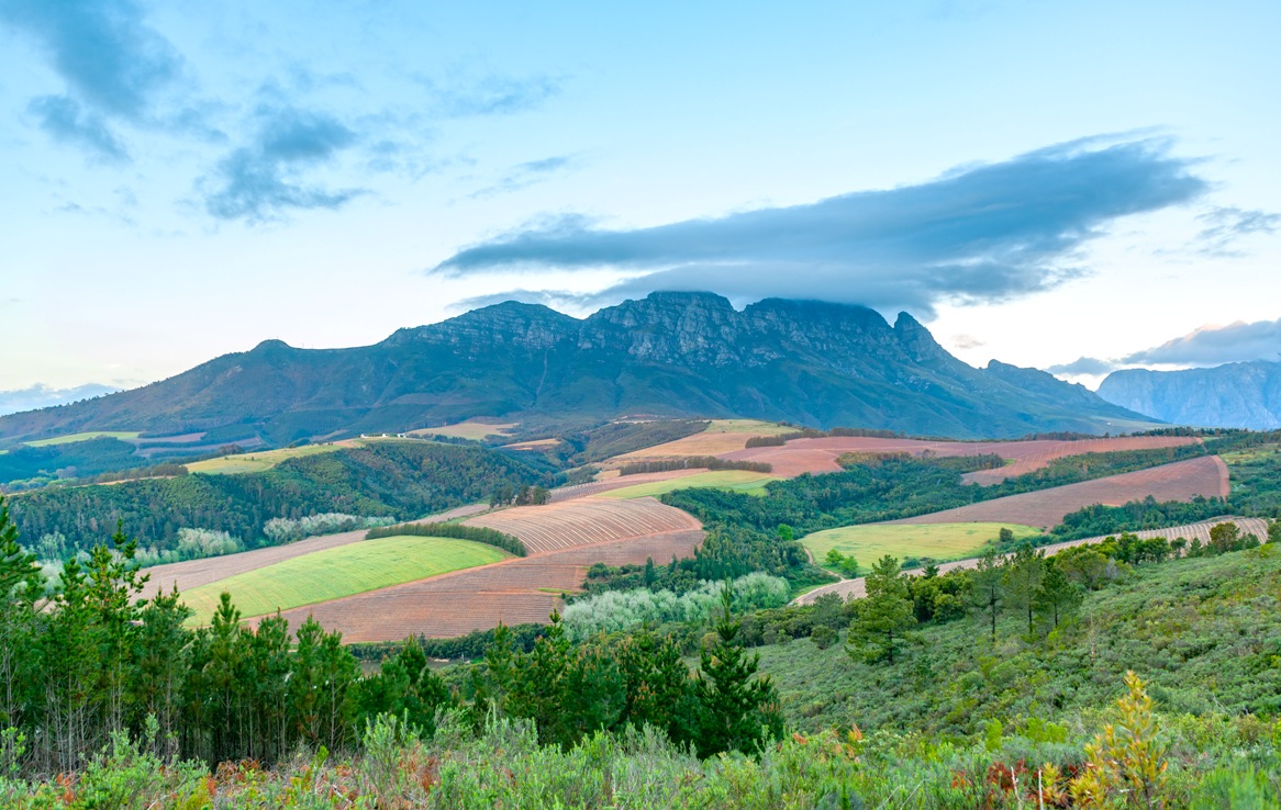 Inaugural Stellenbosch Wine Routes Sommelier Bootcamp launches in September