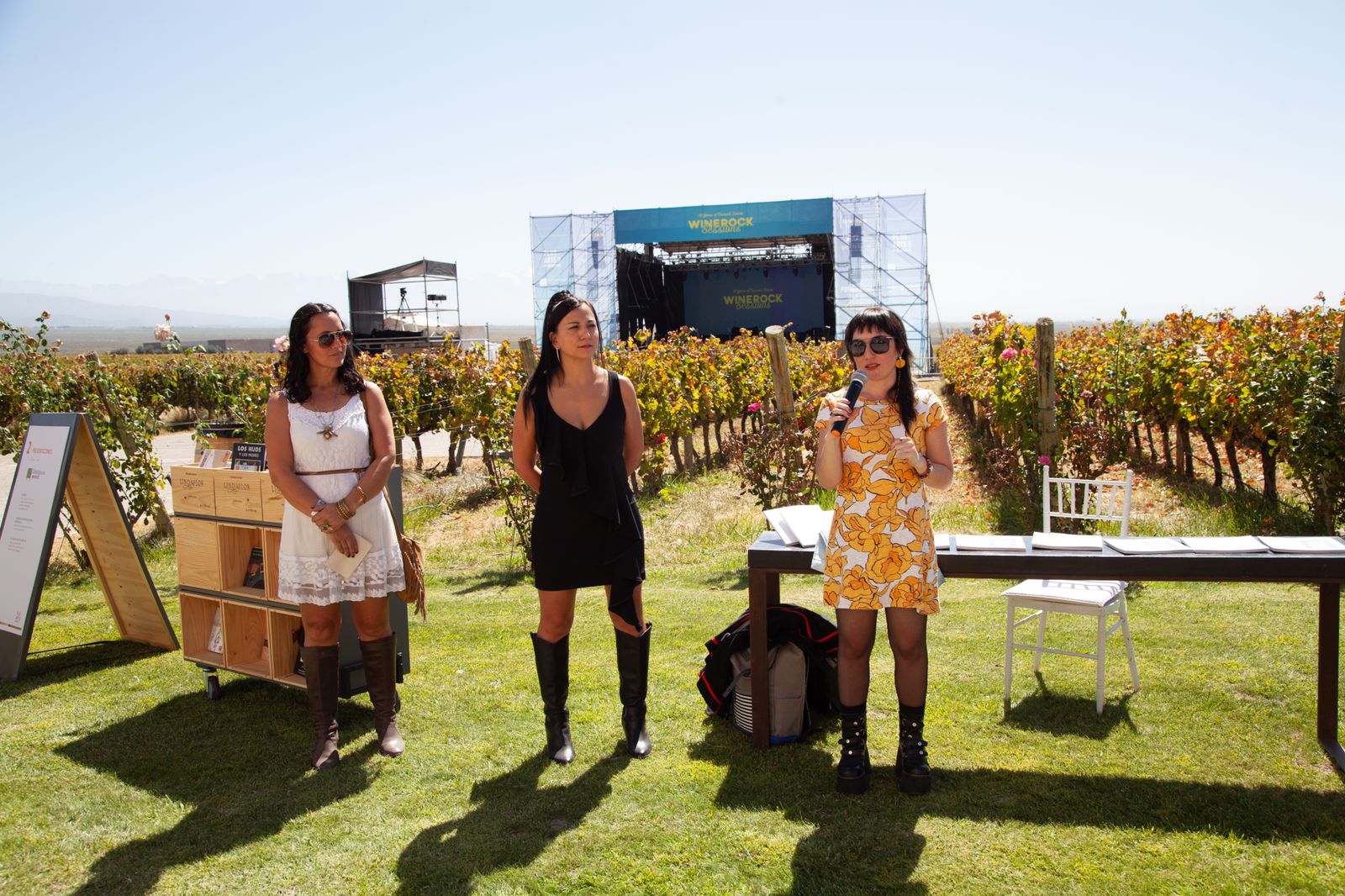 Mendoza fuses Rock and Wine in a unique festival