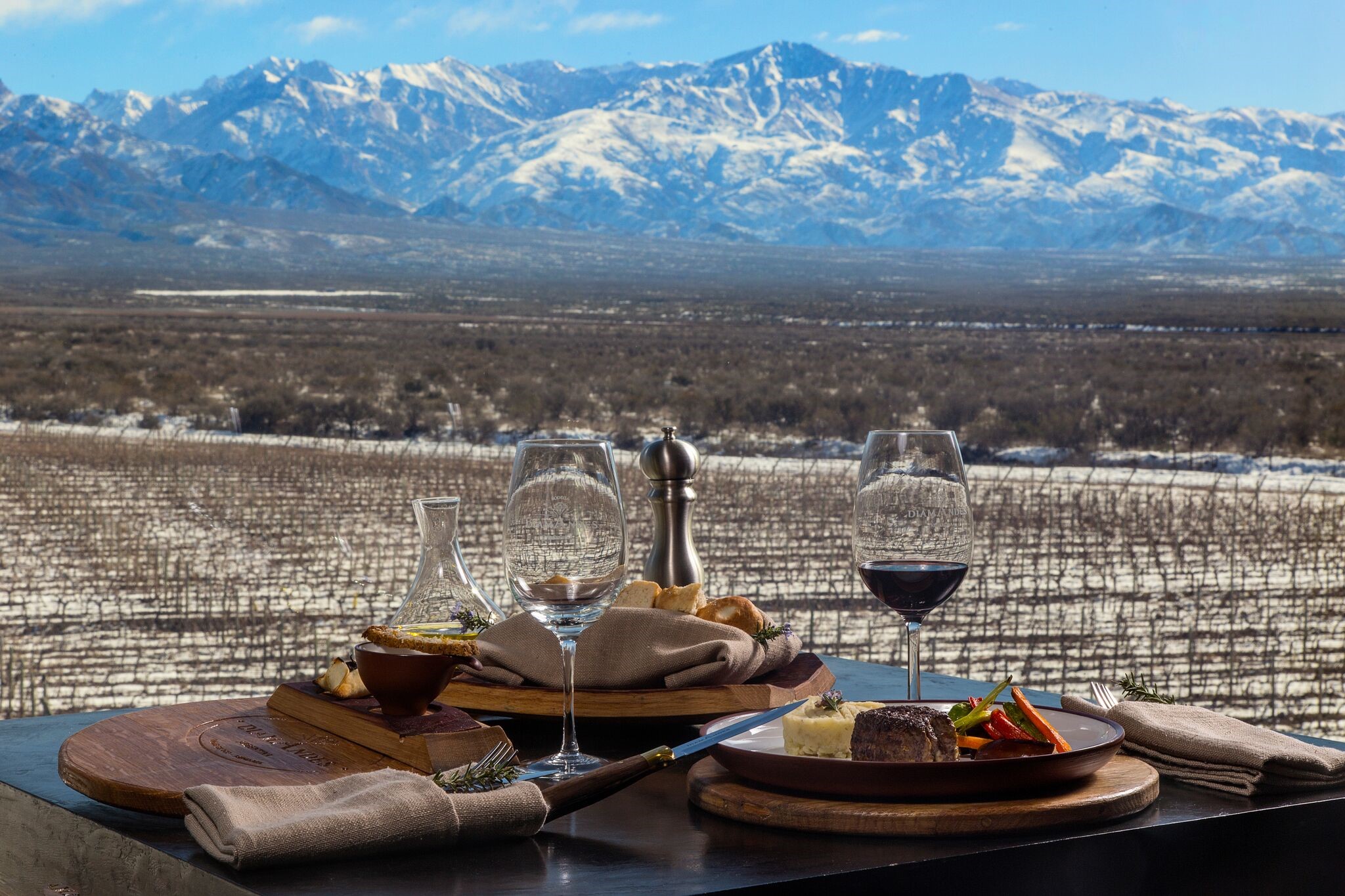 MENDOZA WILL BE THE STAGE TO ANNOUNCE THE WORLD´S BEST VINEYARDS 2022