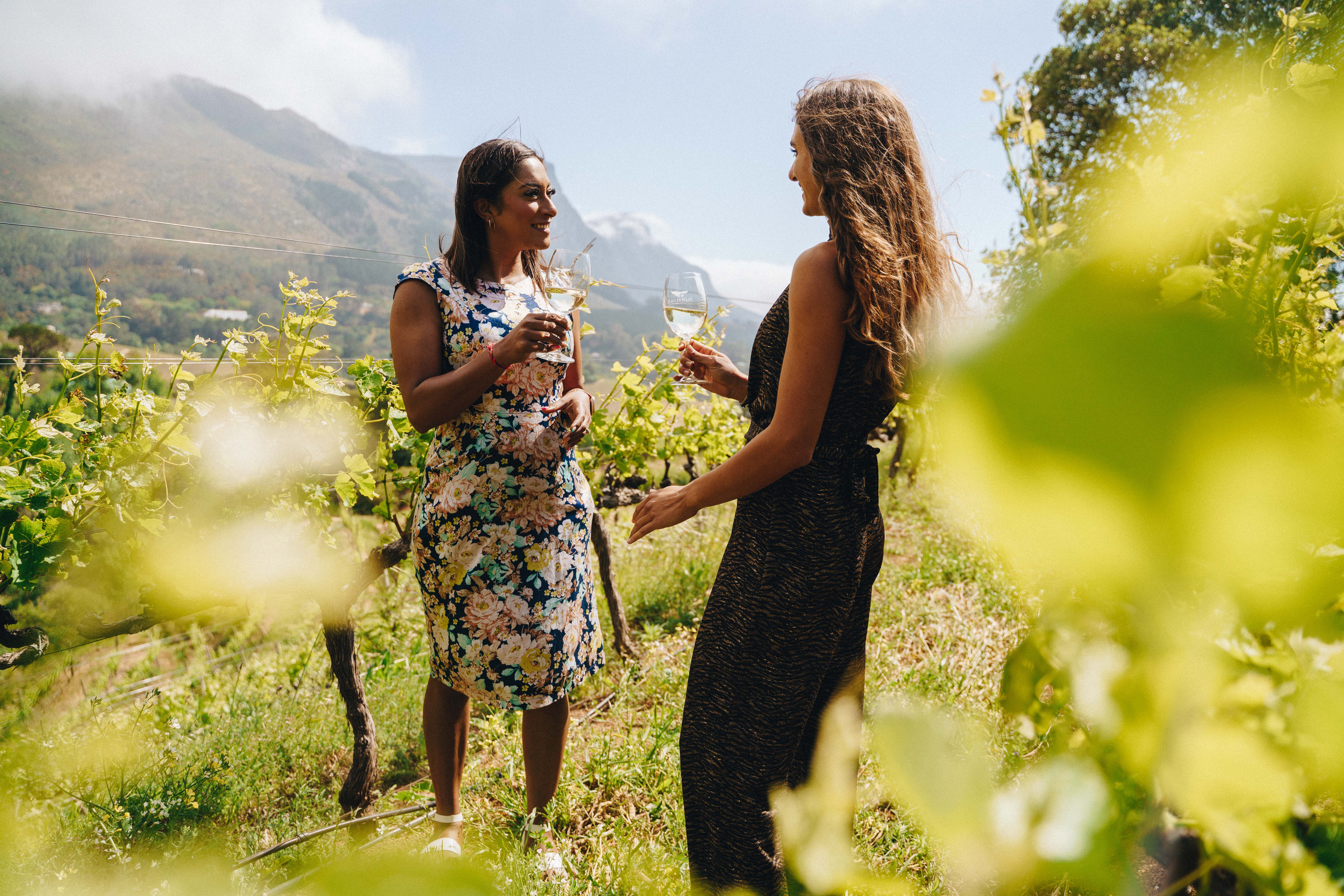 How Cape Town and the Western Cape celebrate the wine harvest