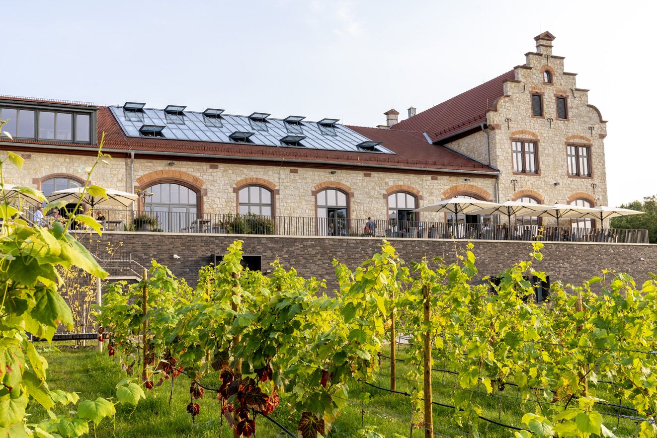 Best Of Wine Tourism Awards 2023: Winners for Mainz and Rheinhessen