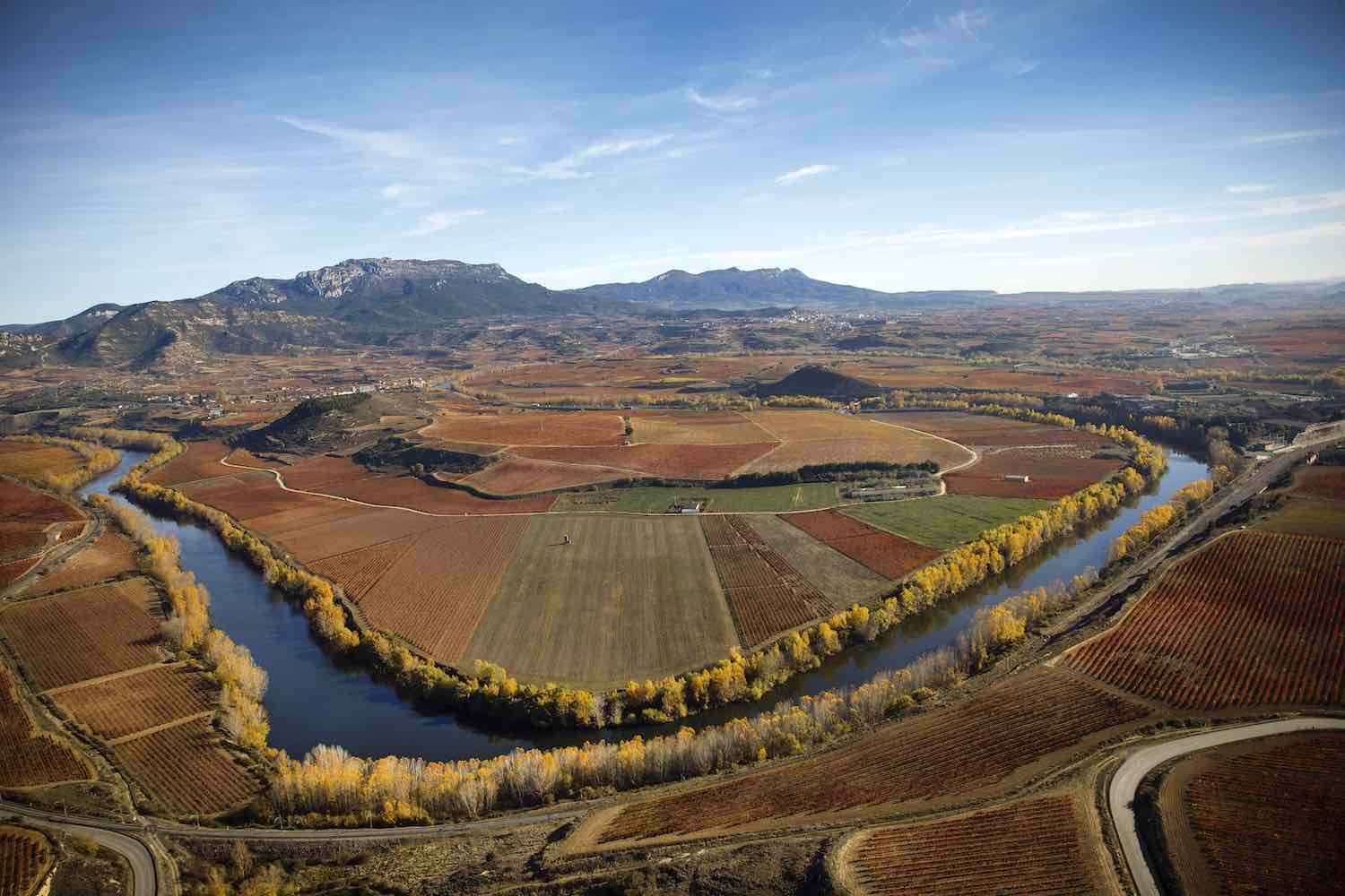 Discover the Magic of Rioja Vineyards in the Fall