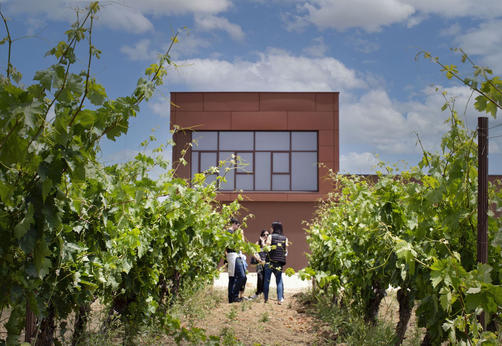 Bodegas Javier San Pedro Ortega