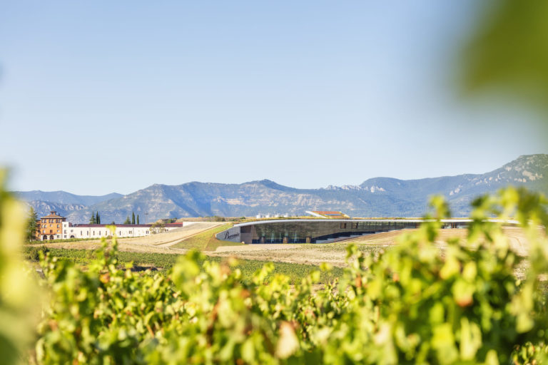 Bodegas Beronia in Ollauri La Rioja