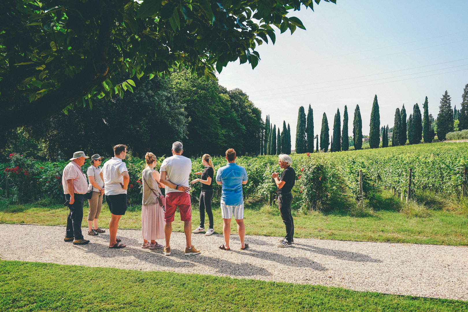 Ways, sustainable wine tourism in Verona