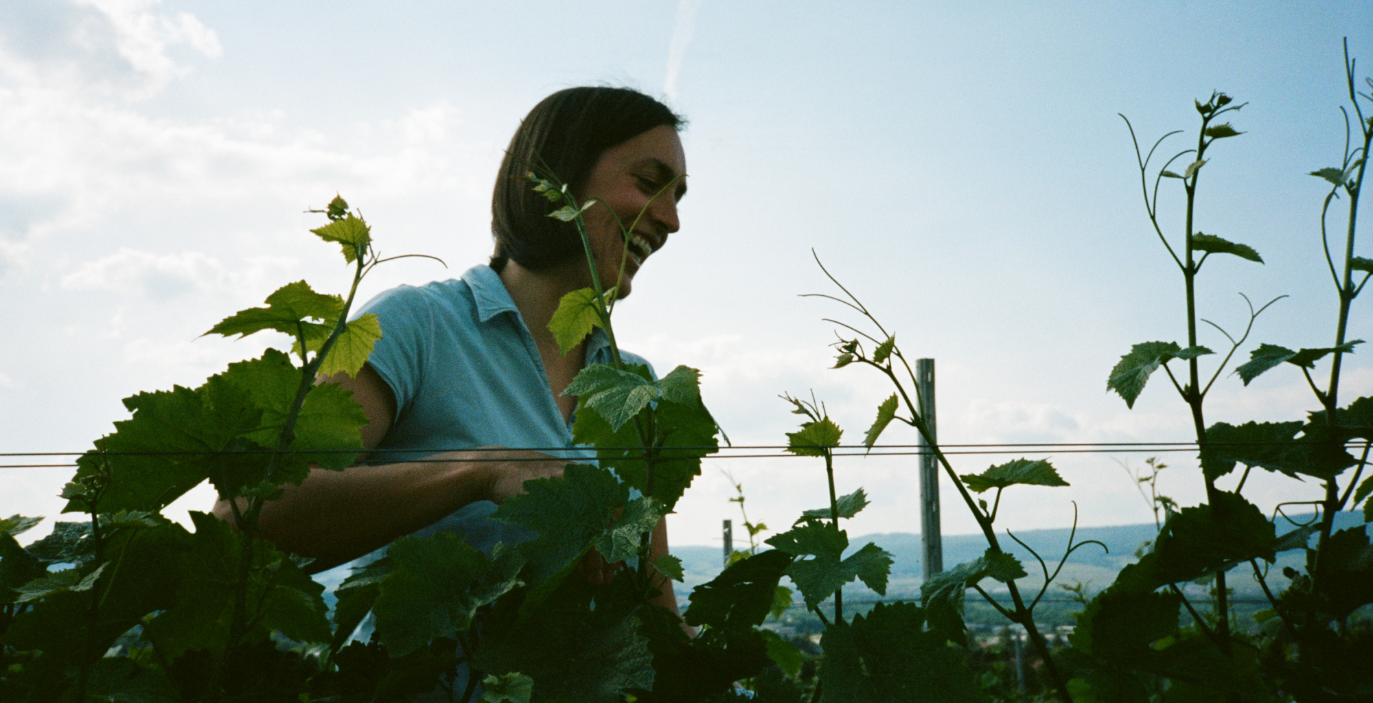 Women in wine