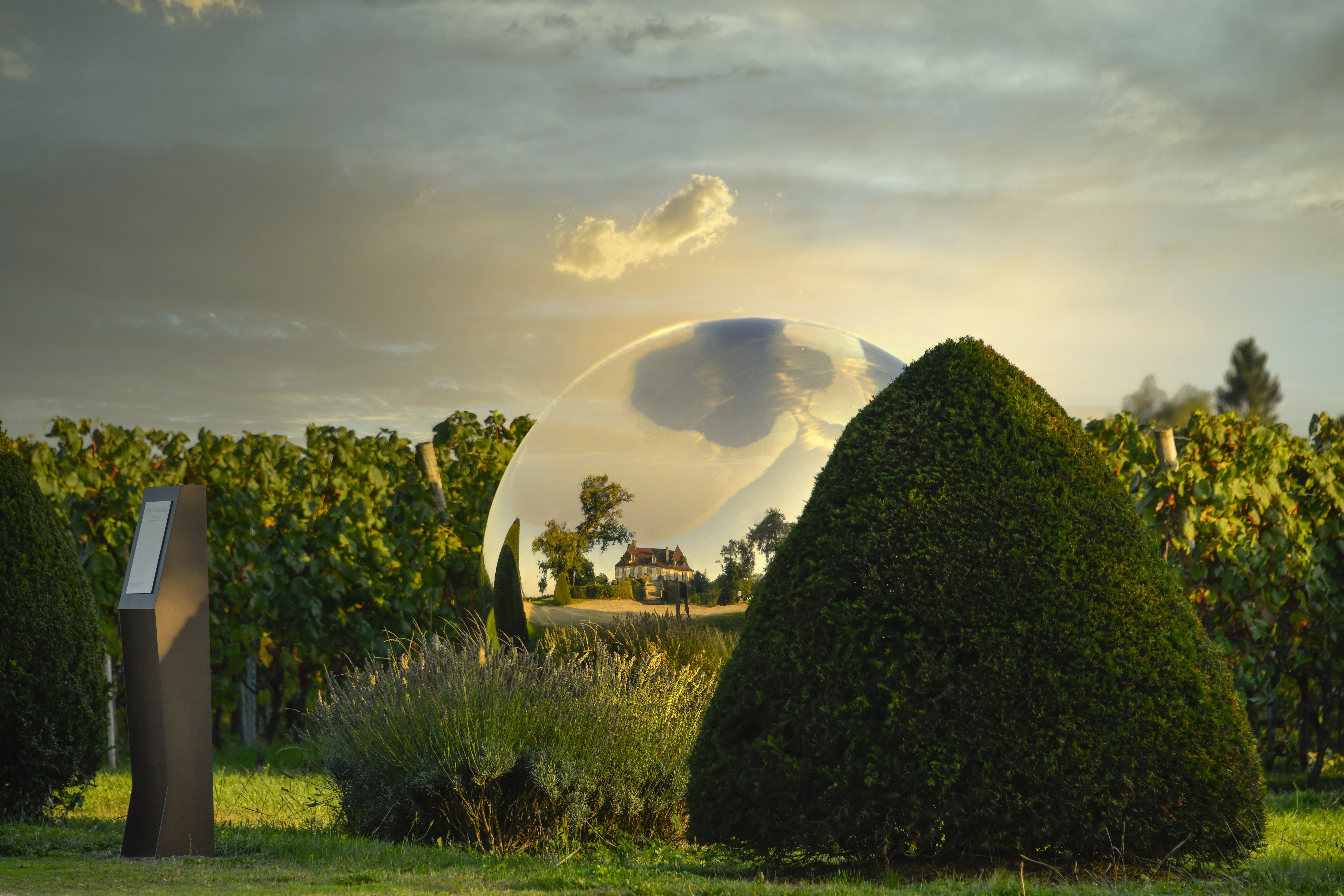 Culture and agriculture – wine and art in the Bordeaux vineyard