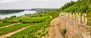 The Roter Hang in Nierstein, a famous vineyard of Rheinhessen