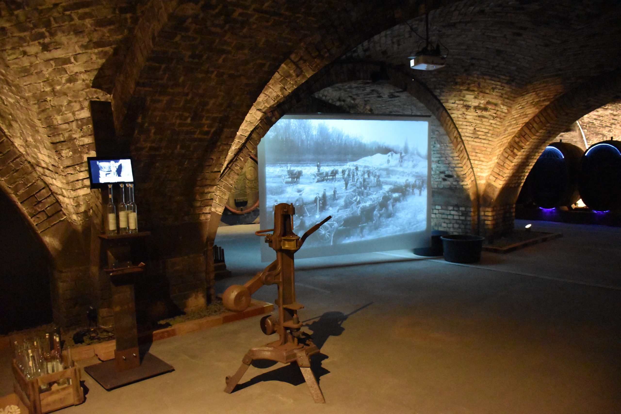 A cellar full of winegrowers’ stories