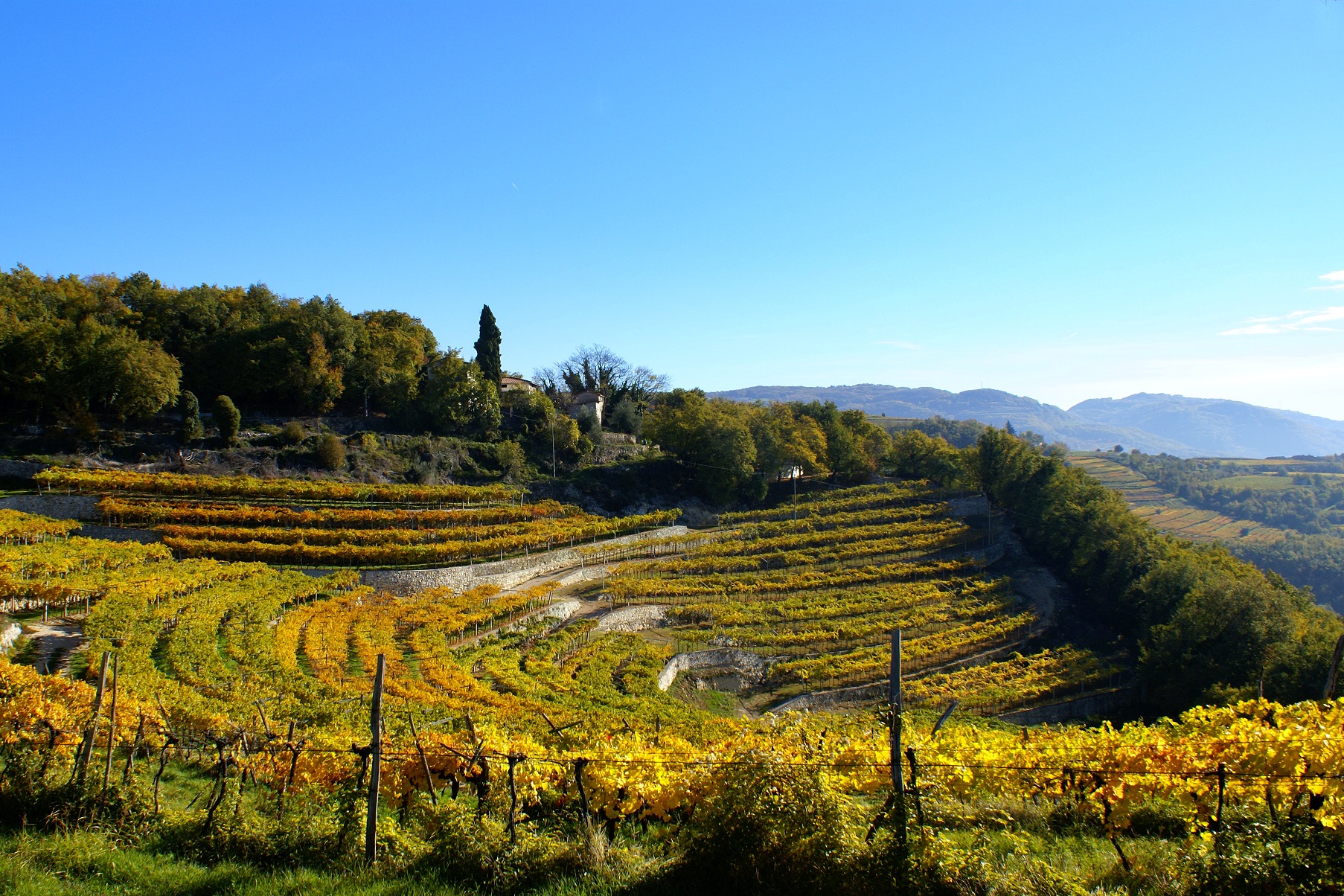Valpolicella Wine Road: Much more than wine