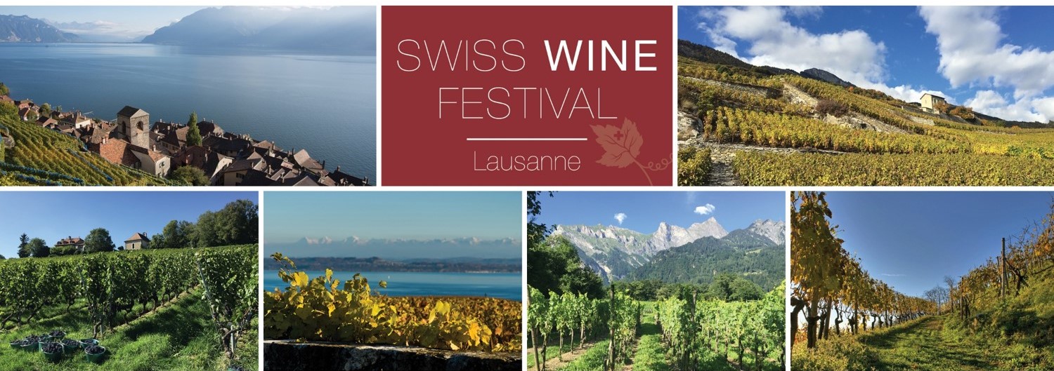 The SWISS WINE FESTIVAL 2023 – Swiss Innovation in the Spotlight