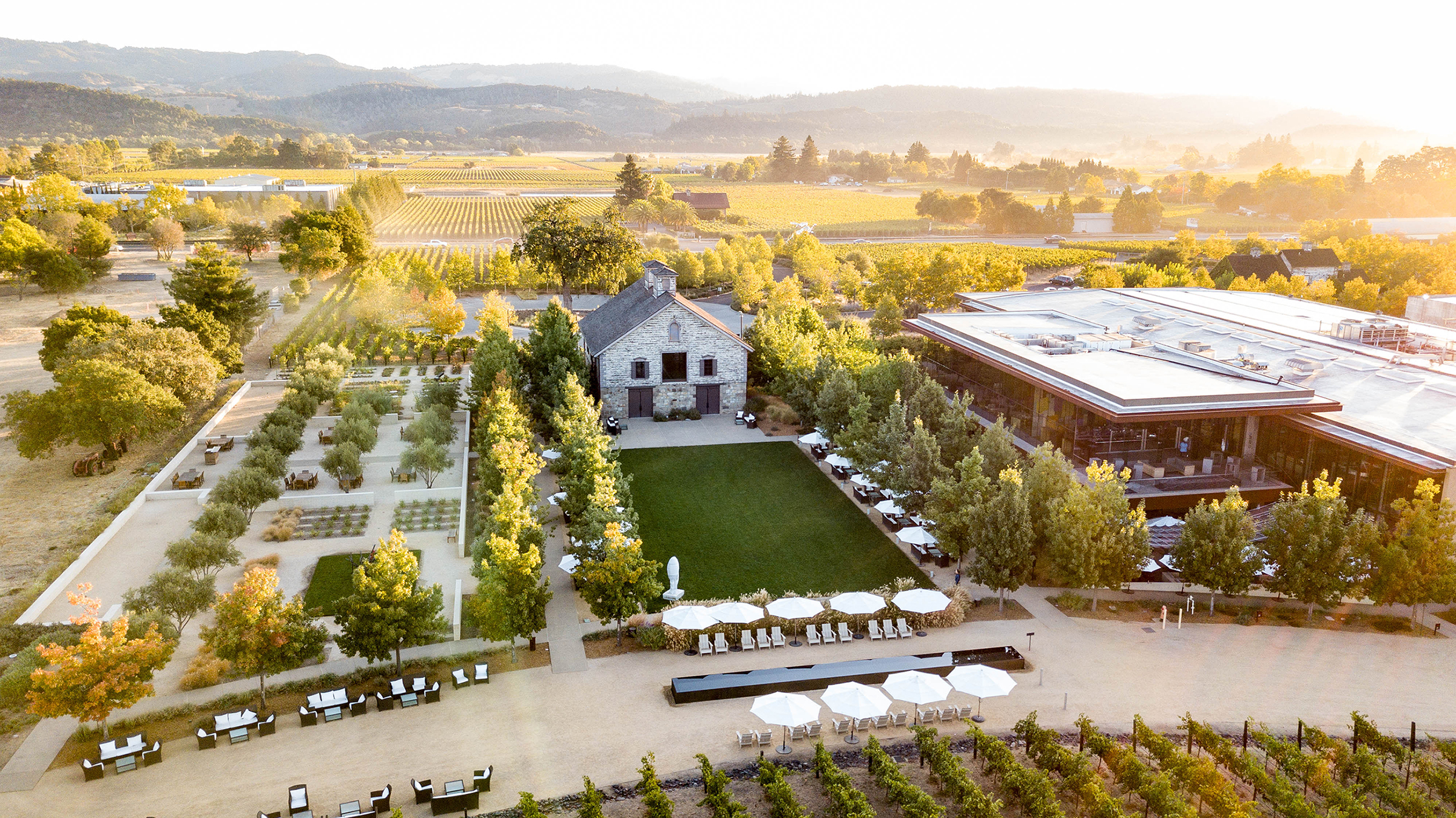 HALL Family Wines – A Napa Valley Institution