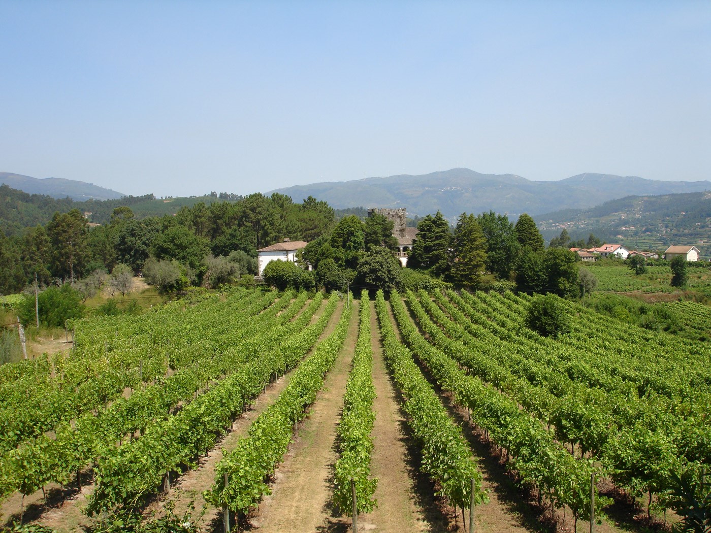Vinho Verde is unique in the world, and there is one for every moment!