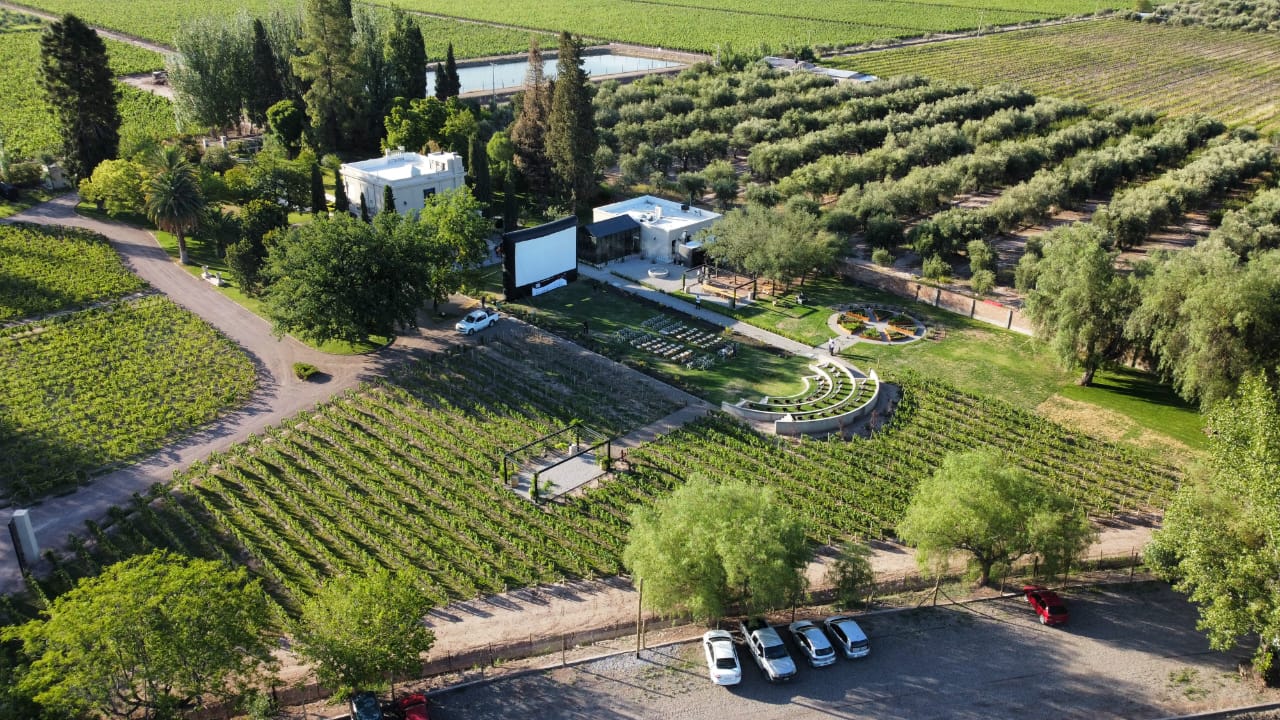 Cinema among the Vineyards in Mendoza