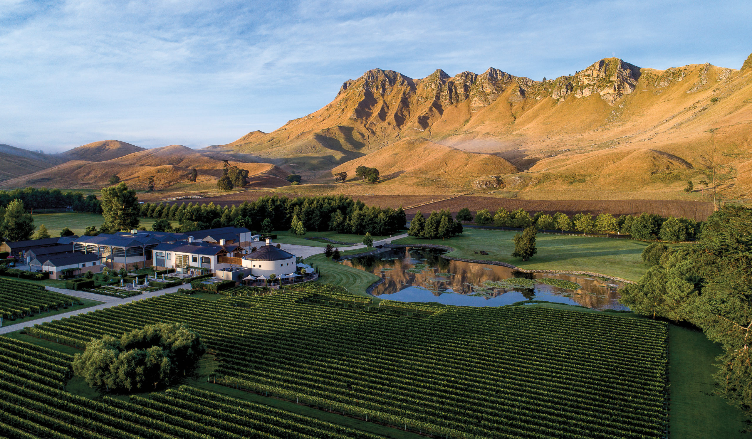 Hawke’s Bay Wine Region Joining GWCGN