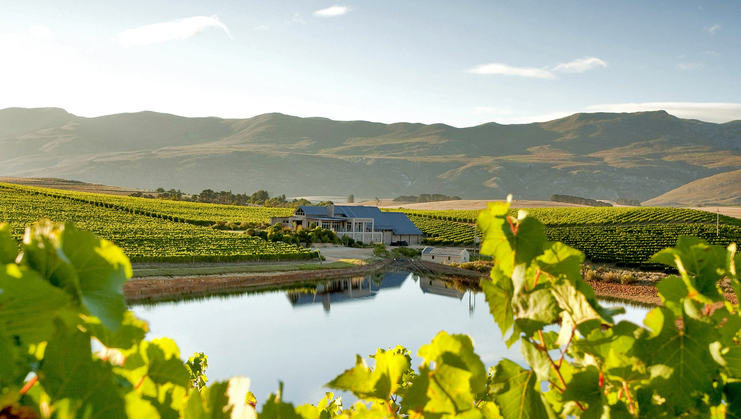 WINETECH Innovation in South Africa
