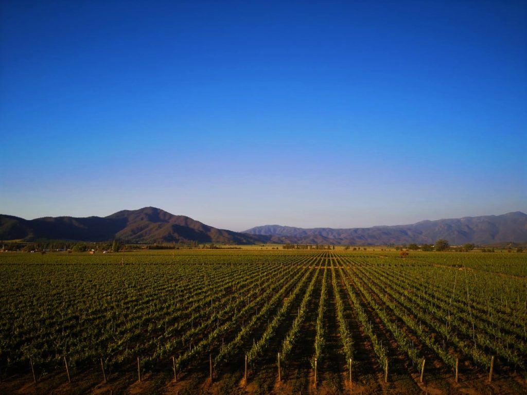 Casablanca Valley Vineyards Overlooking Mountains